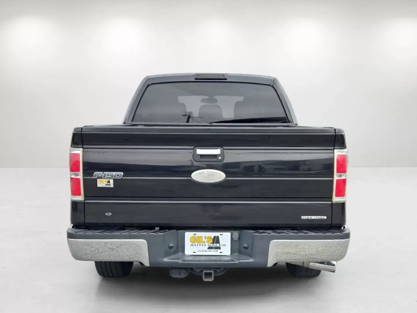 2012 Ford F-150 (1FTEW1CM0CK) with an Other engine, located at 1430 Gateway Drive, Opelika, AL, 36801, (334) 239-0944, 32.637871, -85.409790 - Unlock a world of adventure with the 2012 Ford F-150 Crew Cab Pickup, perfect for weekend getaways, family outings, or tackling your daily commute! At Gils Auto in Phenix City, AL, we understand that the right vehicle can enhance your lifestyle, and this rugged yet refined truck is designed to do ju - Photo#6