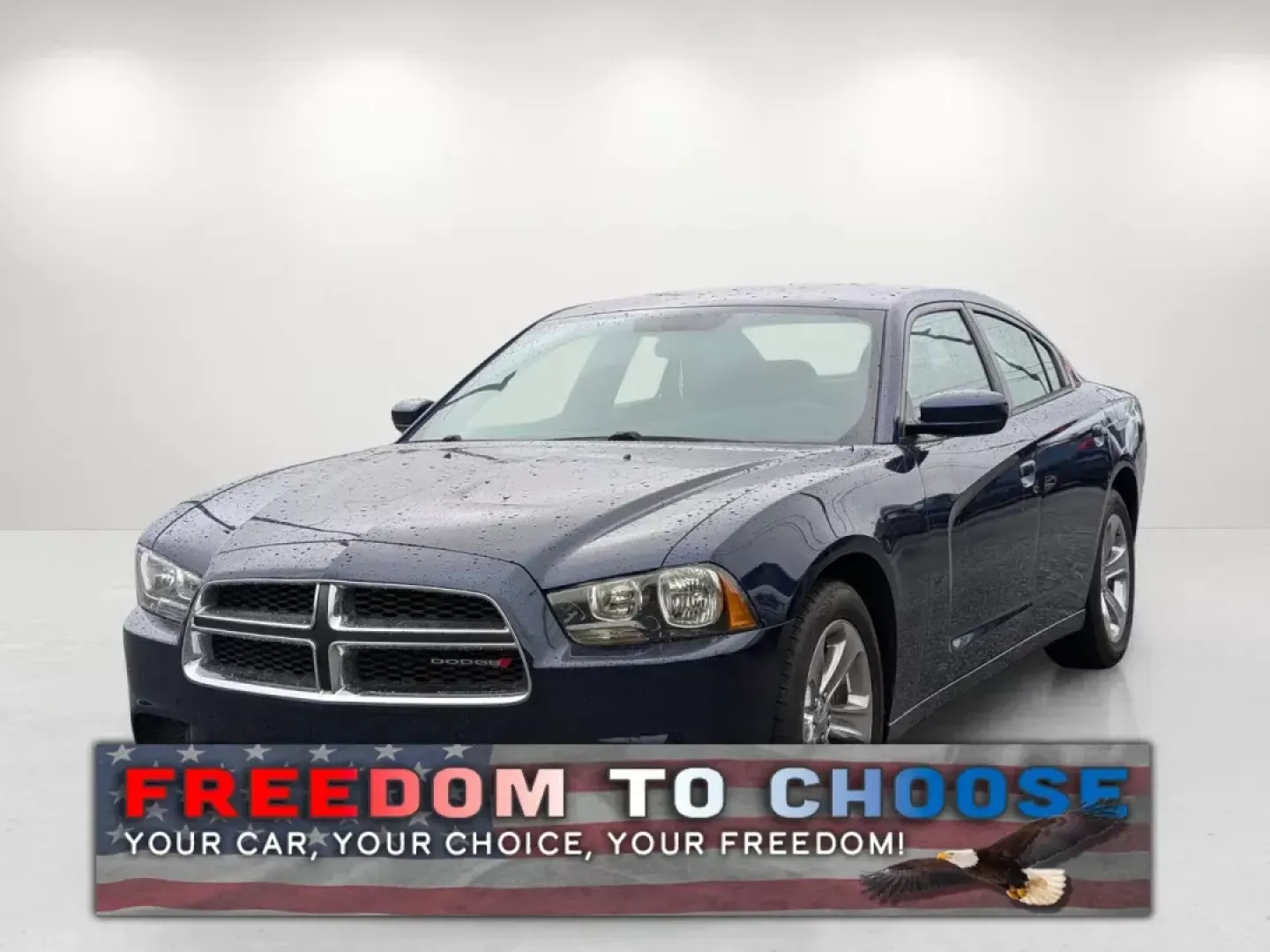 2014 /Black Dodge Charger SE (2C3CDXBGXEH) with an Other engine, located at 1430 Gateway Drive, Opelika, AL, 36801, (334) 239-0944, 32.637871, -85.409790 - Discover the thrill of driving with the 2014 Dodge Charger SE, a vehicle designed for those who crave both style and substance. Whether you're commuting to work in nearby Auburn or planning a weekend getaway to Chewacla State Park, this car is perfect for anyone looking to blend performance with rel - Photo#0