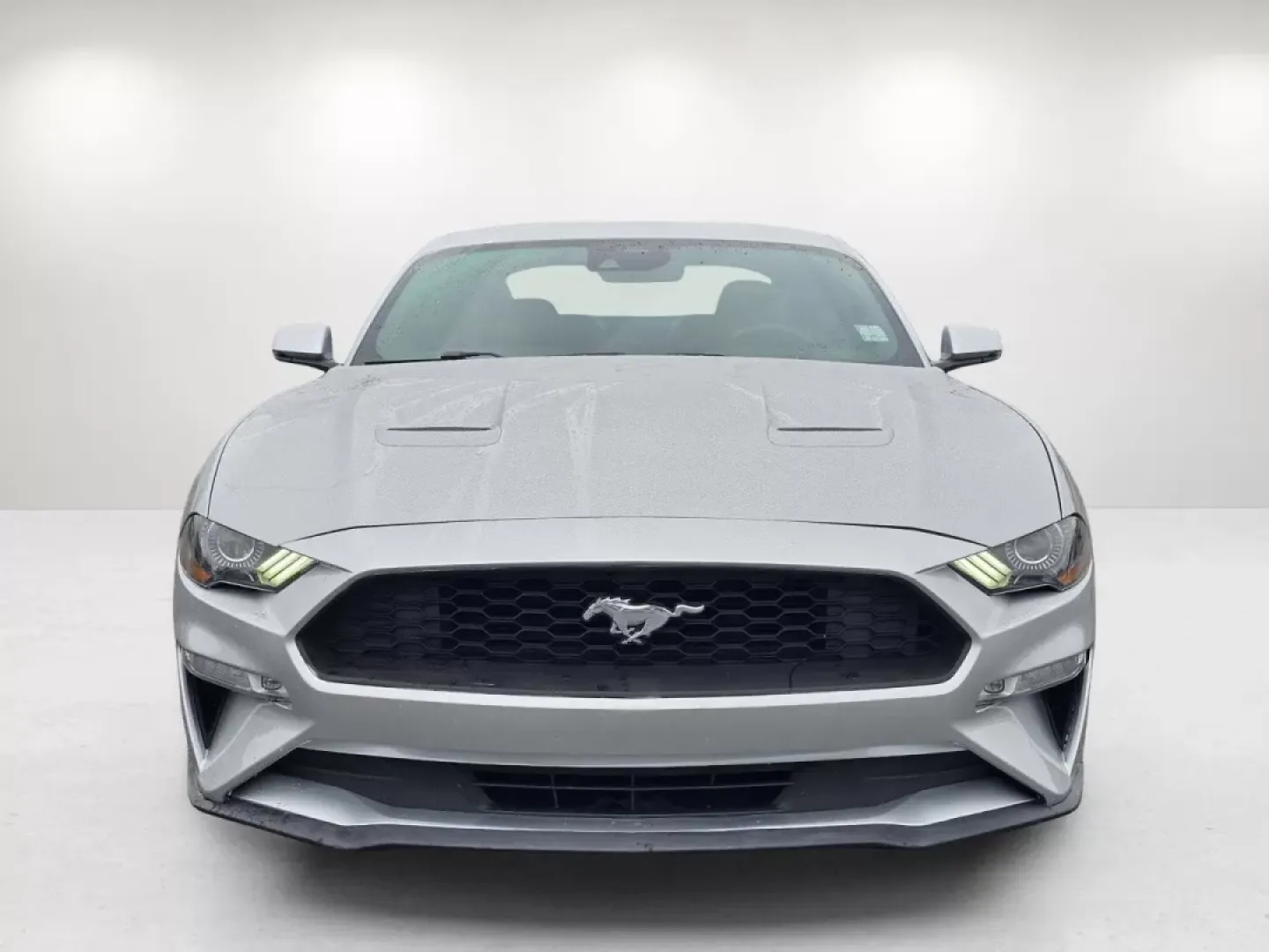 2019 Ford Mustang EcoBoost Premium (1FA6P8TH5K5) with an Other engine, located at 804 22nd Ave, Phenix City, AL, 36870, (334) 297-1860, 32.484749, -85.024475 - Unleash your inner thrill-seeker with this stunning 2019 Ford Mustang, now available at Gils Auto in Phenix City, AL. Whether you're looking to transform your daily commute into an exciting journey or seeking the perfect vehicle for weekend adventures, this iconic coupe is ready to elevate your driv - Photo#1
