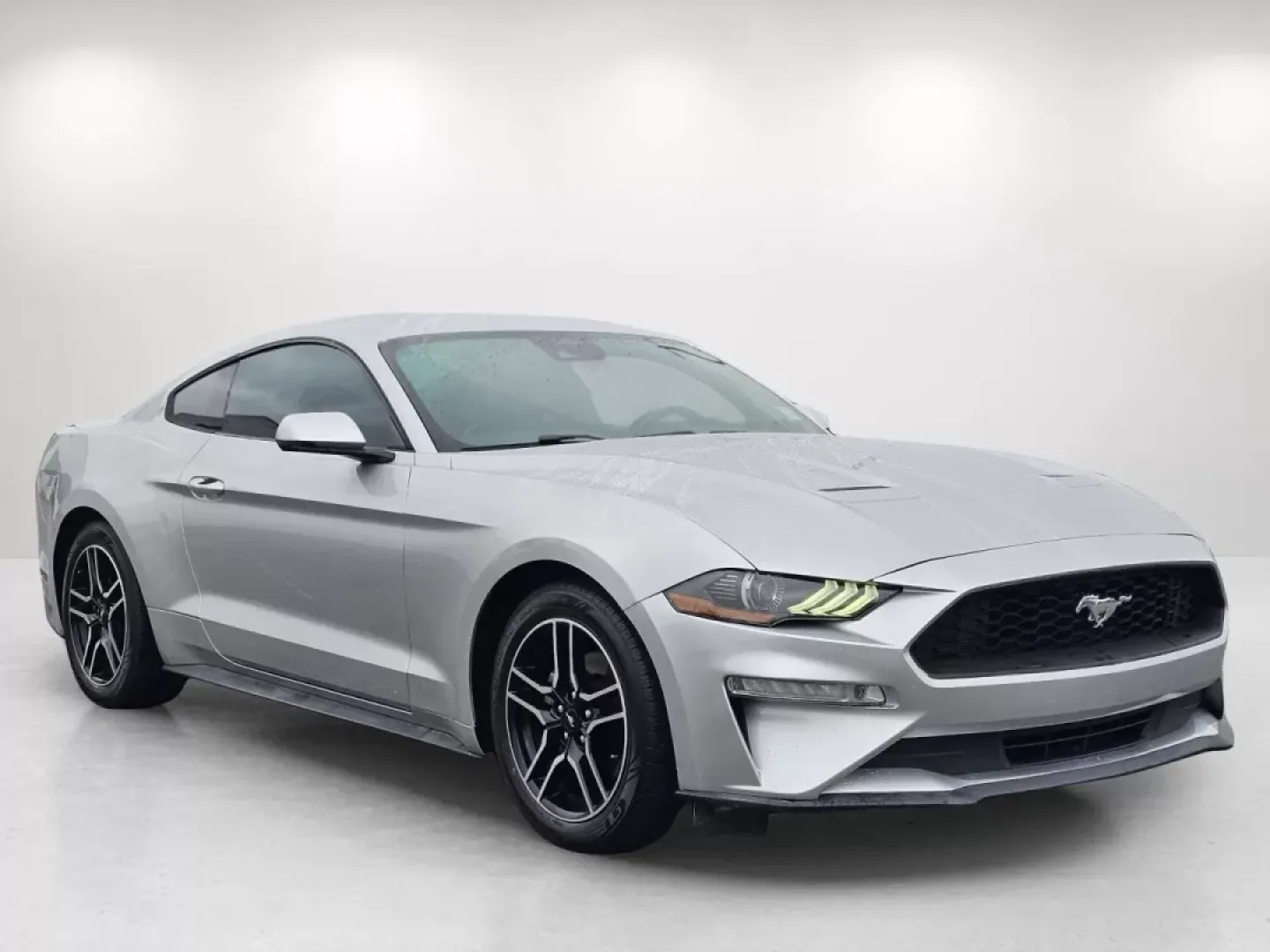 2019 Ford Mustang EcoBoost Premium (1FA6P8TH5K5) with an Other engine, located at 804 22nd Ave, Phenix City, AL, 36870, (334) 297-1860, 32.484749, -85.024475 - Unleash your inner thrill-seeker with this stunning 2019 Ford Mustang, now available at Gils Auto in Phenix City, AL. Whether you're looking to transform your daily commute into an exciting journey or seeking the perfect vehicle for weekend adventures, this iconic coupe is ready to elevate your driv - Photo#2